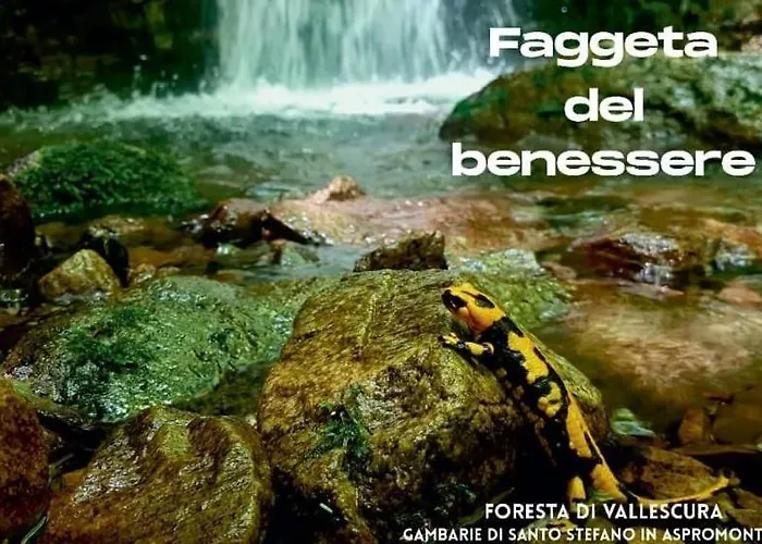 מלון Park Bellavista Gambarie dʼAspromonte