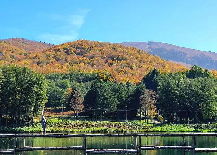 Park Bellavista Hotel