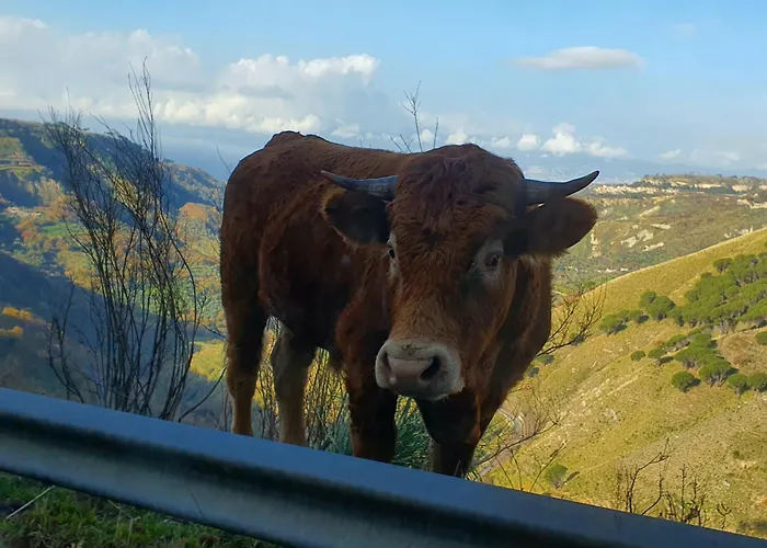 Hotel Park Bellavista